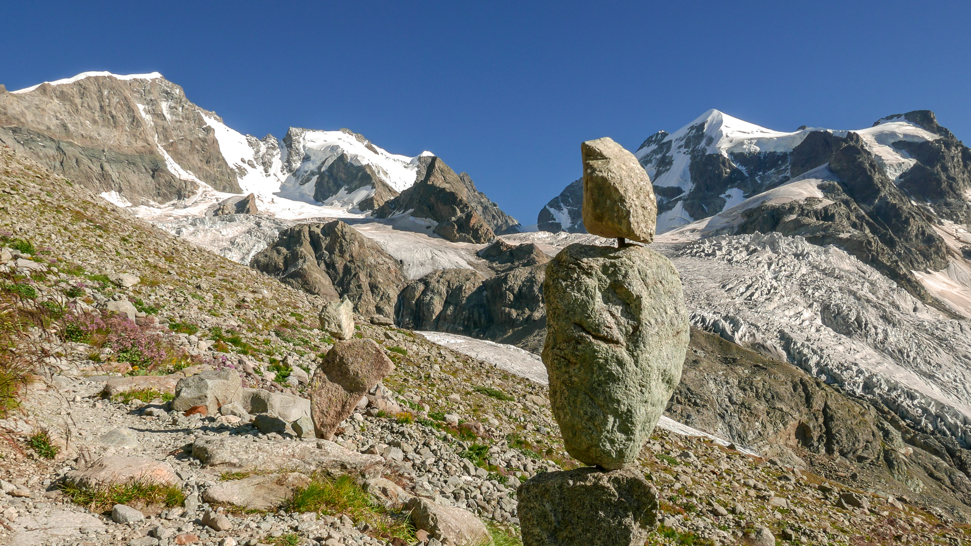 Piz Bernina Biancograt-1000700