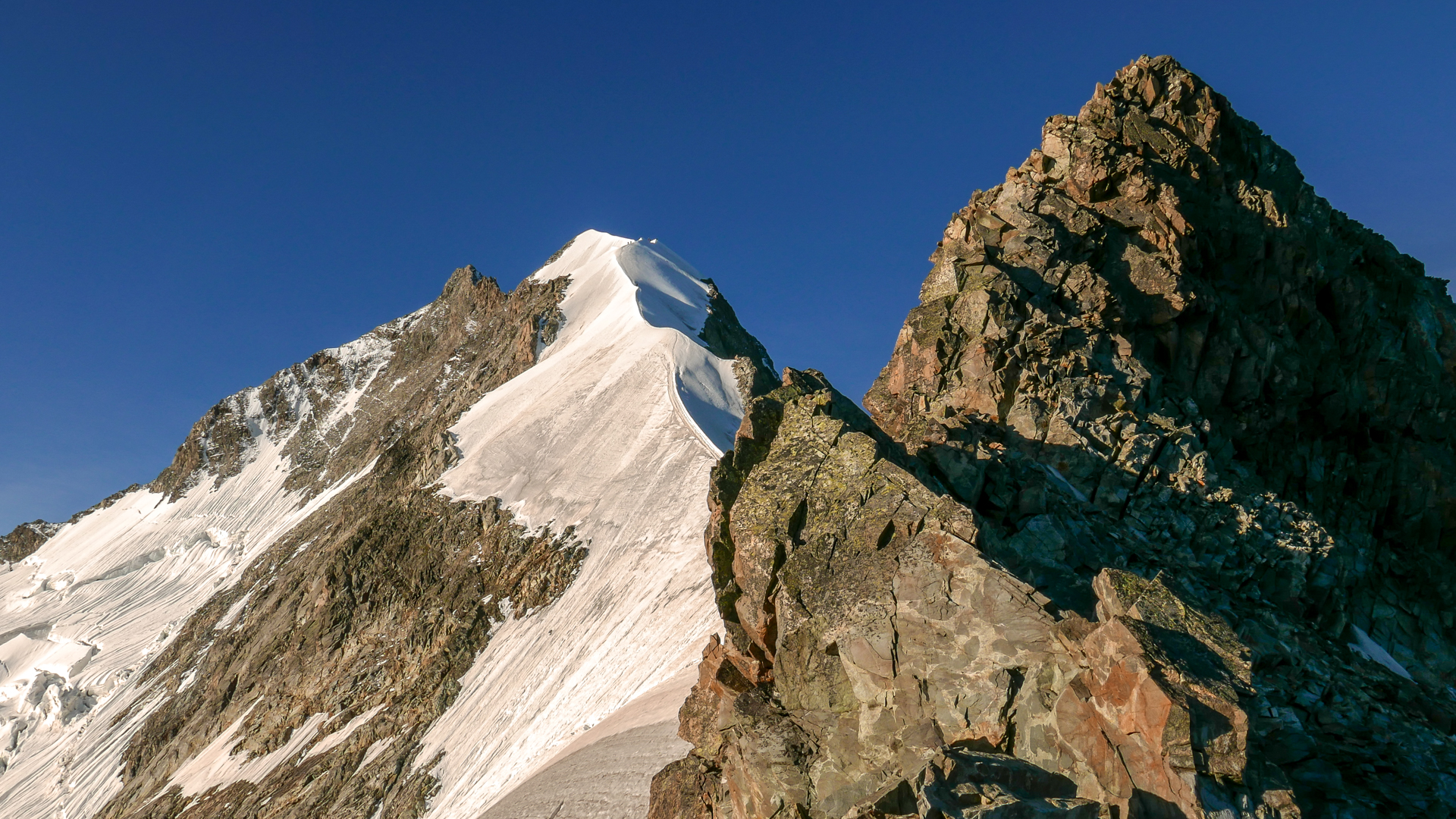 Piz Bernina Biancograt-1000717