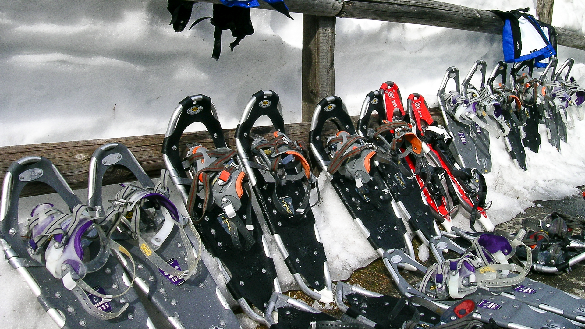 Schneeschuhlaufen-1238