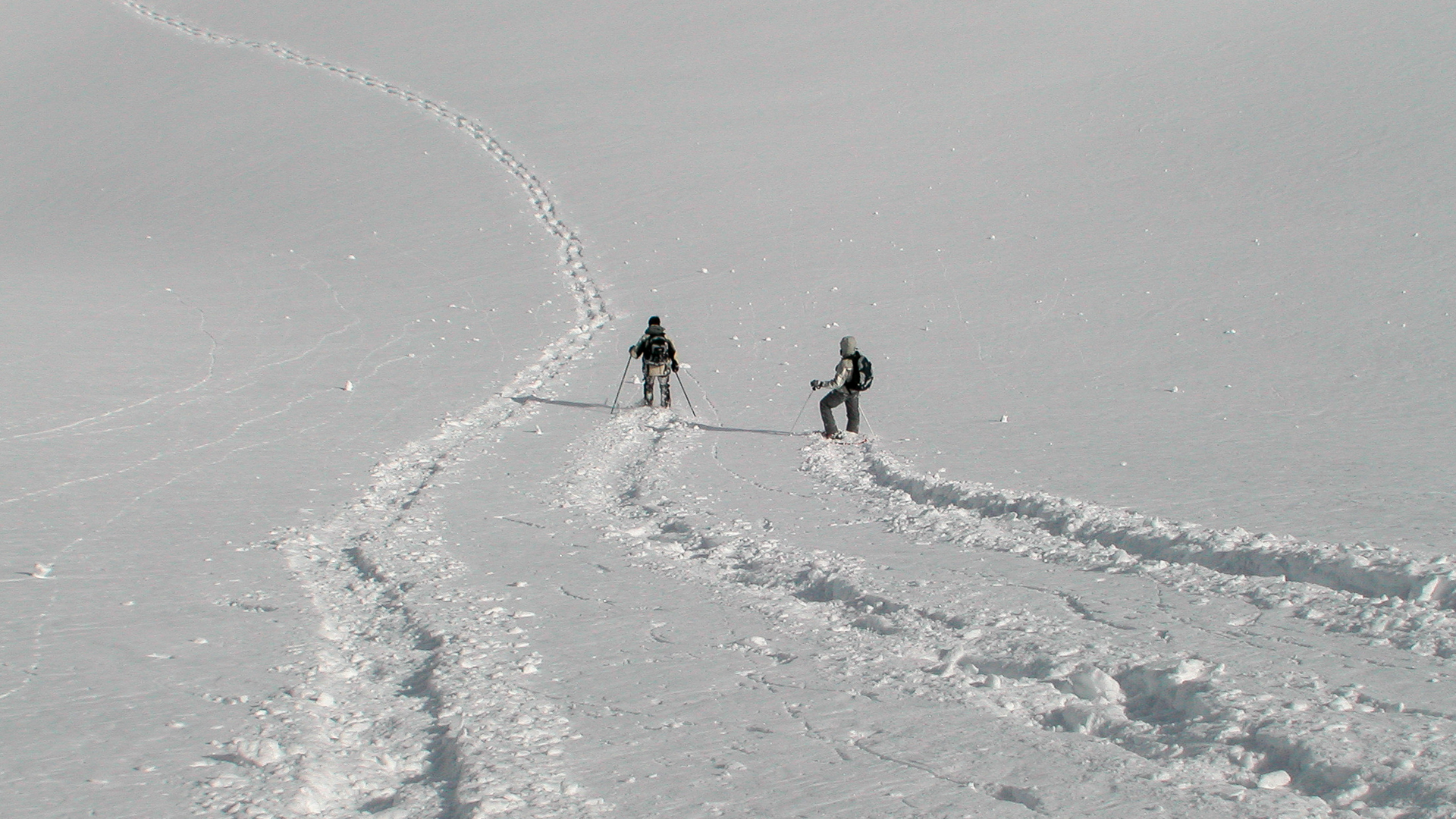 Schneeschuhlaufen-3180